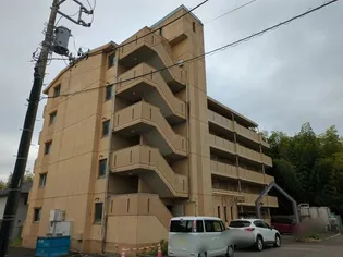 M ステージ桧の画像