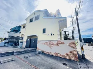 プチシャンボールの画像