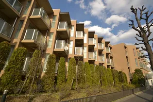 ビイルーム自由が丘【2階】の外観