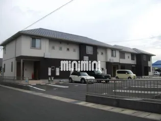 プルメリアAの画像