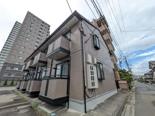 サンフラワー Mの画像