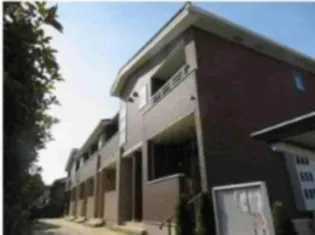 プラシードの画像