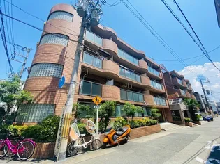 シロハイヌ姫里2の画像