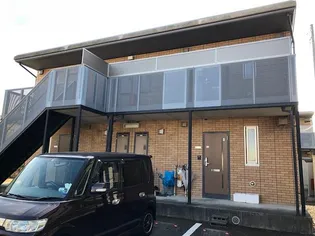 メープル リーフの画像