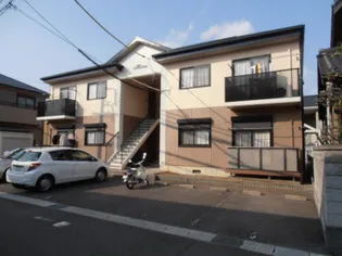 ハイビスカスCの画像