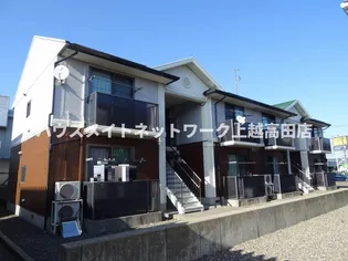 パンパスグラスの画像