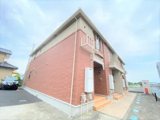 コッティの画像