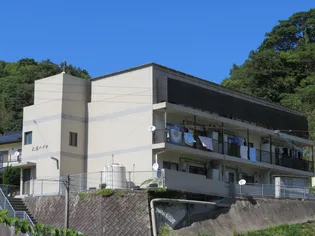 大光ハイツ【2階】の外観