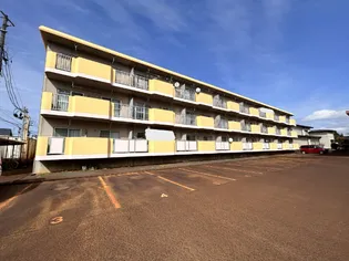 エイペックスIの画像