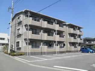 カミーノ Sの画像