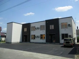 Fアザラシの画像