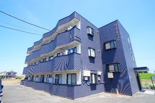 ロイヤルコート【3階】の外観