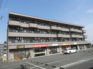 ハイクオリティV【4階】の外観