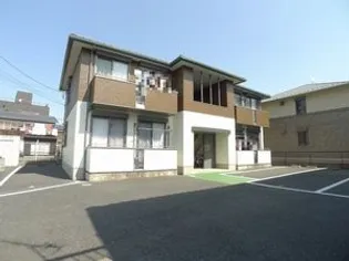 ステラマリスの画像