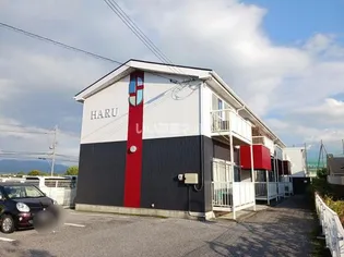 HARUの画像