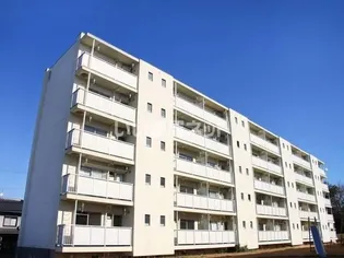 ビレッジハウス杉焼1号棟【5階】の外観