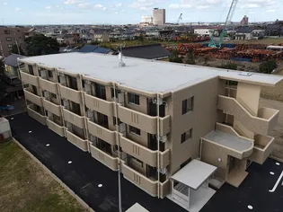 パンパスグラスの画像