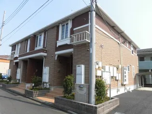 アンバーの画像