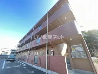 ソレイユ51の画像