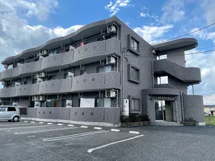 ぶらんどーるの画像