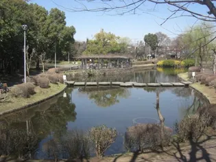 ブリッヂ金子【4階】の周辺