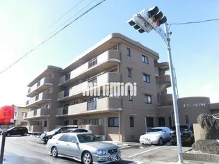 エミュールアサイの画像