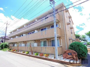 サンジュネスの画像