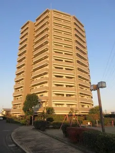 ナイス ステージ 宇都宮参番館の画像