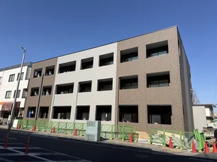 サイプレスの森IIIの画像