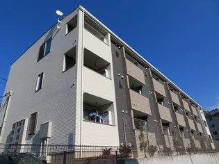 プルメリアの画像