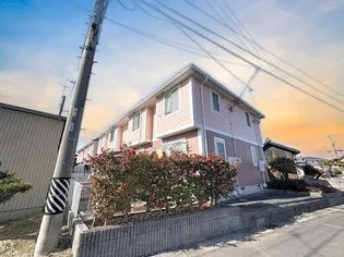 サンガーデンリリーの画像