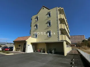 ピエーノの画像