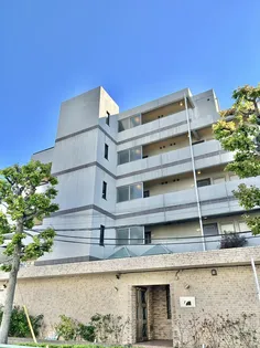 イルヴィアーレ王子の画像