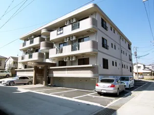 テラン デ Fの画像