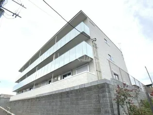 グリシーヌの画像