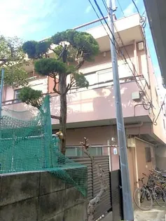 リアン コウの画像