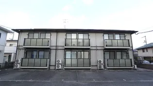 ミレニアム金光 Bの画像