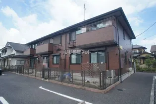 ロイヤルローサの画像