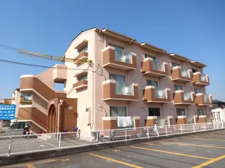 クリンピアYの画像