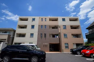 フィオーレの画像