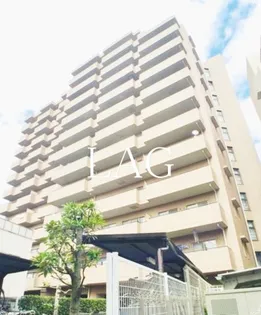 サンリヴァ隅田【8階】の外観