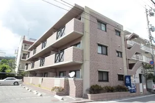 ヴィゲール庚午の画像