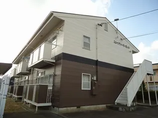 ニューシティマーガレットの画像