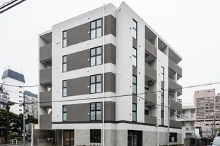 ステラフォートの画像