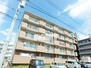 チェルシーIIの画像