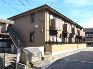 サンライズ岩本の画像