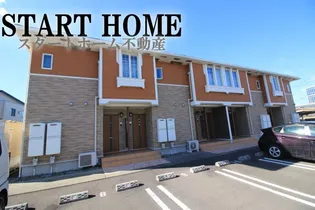 グレイスBの画像