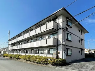 トマトノワの画像