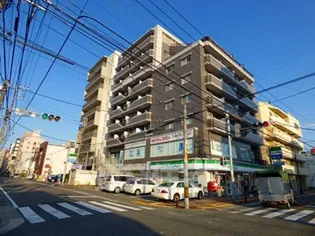 エステートモア白金クロスの画像