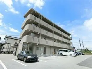 Y&Mファーストステージの画像